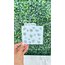 Stencil -36-