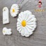 DURU 3 lü Set