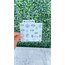 Stencil -31-