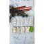 Cute Christmas Series - Christmas Teddy