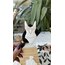 Bride Bodysuit -1-