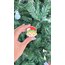 Elf