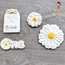 DURU 3 lü Set