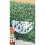 Yılbaşı Stencil -7- Yarım Daire form