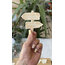 Aloha Series - Sign Vector 