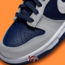 Nike Dunk Low UV Light