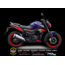 TVS RAİDER STİCKER SET