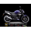 TVS RAİDER STİCKER SET