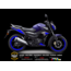 TVS RAİDER STİCKER SET