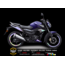 TVS RAİDER STİCKER SET