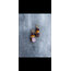 By Bulik Tasarım Mustard Ring Plum Earrings