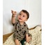 Puzzle Takım
