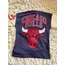 CHİCAGO BULLS