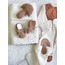 Mantar detaylı 5 li set