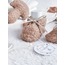 Mantar detaylı 5 li set