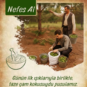 Ballı Atom Kozalak Macunu (Nefes Al) 900gr