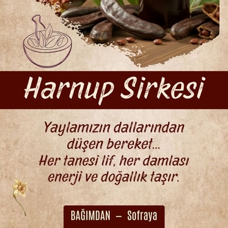 Harnup Sirkesi (Sinerji ⚡️) Pet 1lt