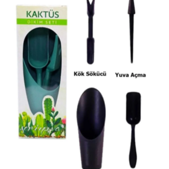 Kaktüs dikim seti 