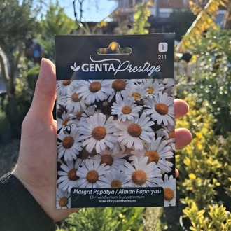 Genta prestige margrit papatya tohumu