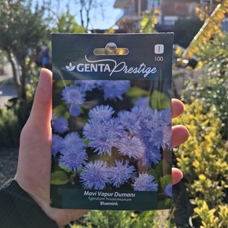 Genta prestige mavi vapur dumanı tohumu