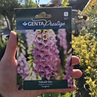 Genta prestige yüksük otu tohumu 