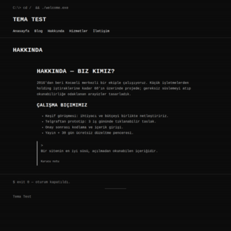 Retro Terminal Teması