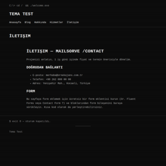 Retro Terminal Teması