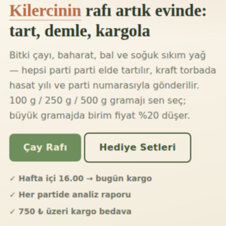 Butik Aktar Teması