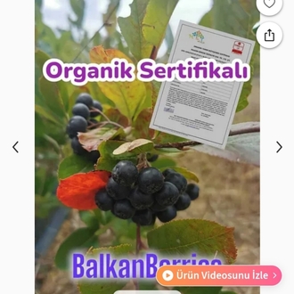 Organik Aronya Meyvesi1 Kg.