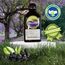 %100 Aronia Özü Soğuk Sıkım , Organik Sertifikalı 