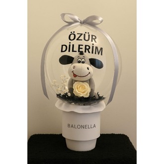 Özür Dilerim Balonu