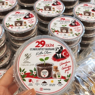 29 Ekim Dikim Kiti