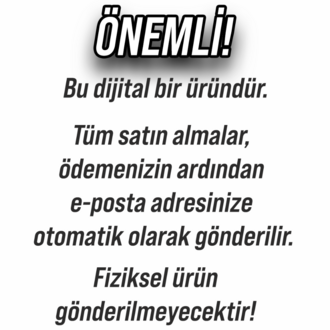 Neden Başlayamıyorsun? (e-kitap)