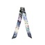 Third Eye Dreams / SILK RIBBON
