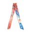 Third Eye Dreams / SILK RIBBON
