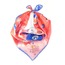 THIRD EYE DREAMS / SILK RED BANDANA