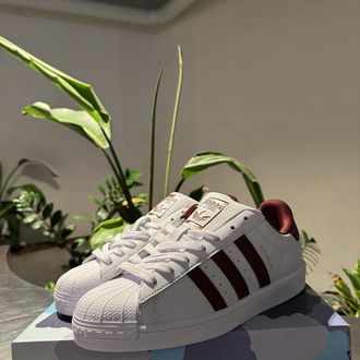 Adidas Superstar Bordo