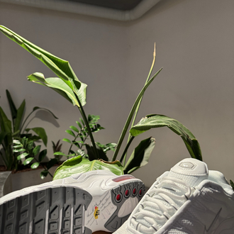 Air Max Plus Tn Beyaz