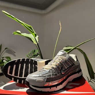 P-6000 Metalic Silver