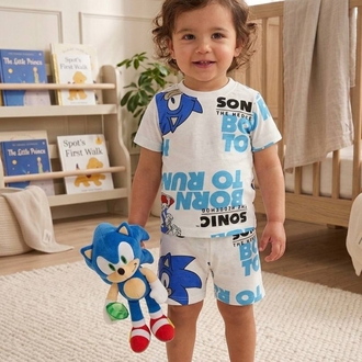 sonic the 