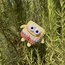 SüngerBob