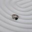 Tragus 10