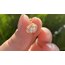 Vip tragus shine