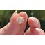 Vip tragus shine