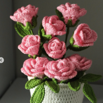 Pembe gül bahçesi
