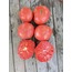 Pembe Köy Domatesi Tohumu (25 adet) (Sırık)