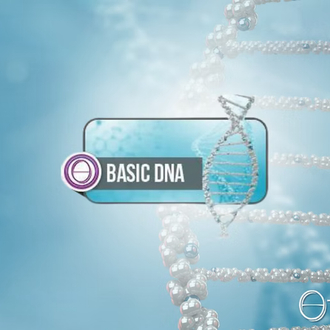 Thetahealing Basic DNA Semineri