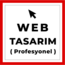 Web Tasarım Ödemesi (Pro)
