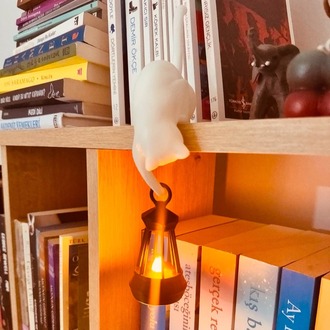 3D Işıklı Kedili Dekor
