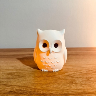 3D Işıklı Baykuş Figür